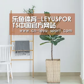 产品名称六(图1)